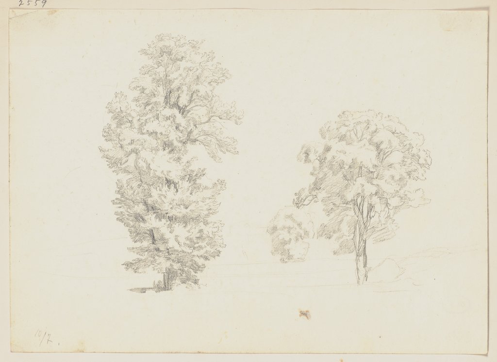 Bäume, Friedrich Metz