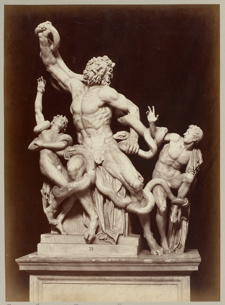 The Laocoon in the Vatican Museum, Adolphe Braun