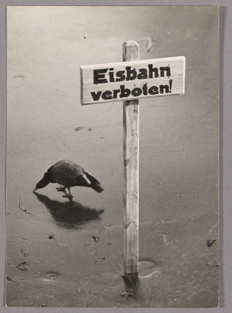 Untitled ('Skating Rink Forbidden'), Friedrich Seidenstücker