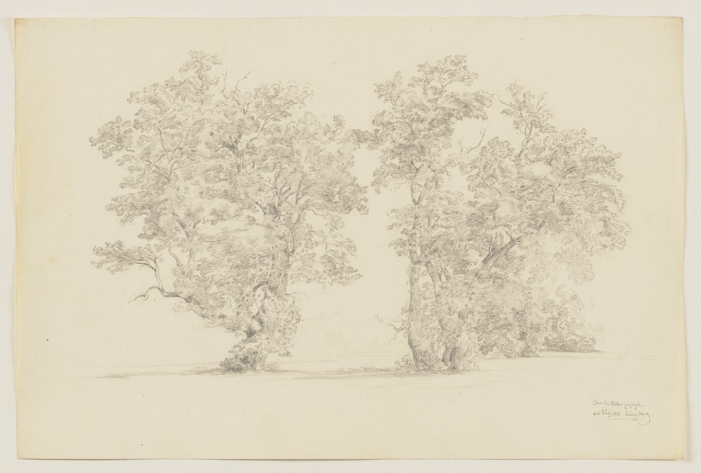 Bäume an der Ammer, Ludwig Metz