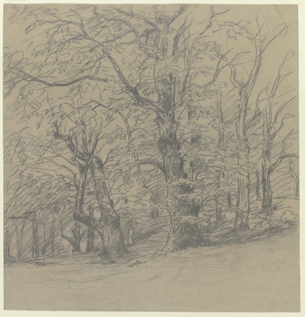 Bäume am Waldrand, Jakob Maurer