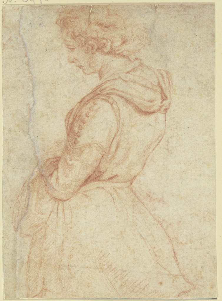 Junge Frau im Profil nach links, Halbfigur, Agnolo Bronzino;   ?