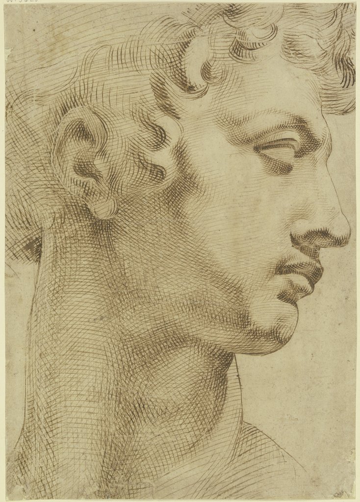 Studie nach dem Kopf von Michelangelos "Giuliano de' Medici", Baccio Bandinelli;   ?, nach Michelangelo Buonarroti