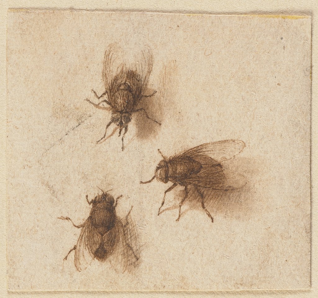 Drei Fliegen, Jacques de Gheyn II