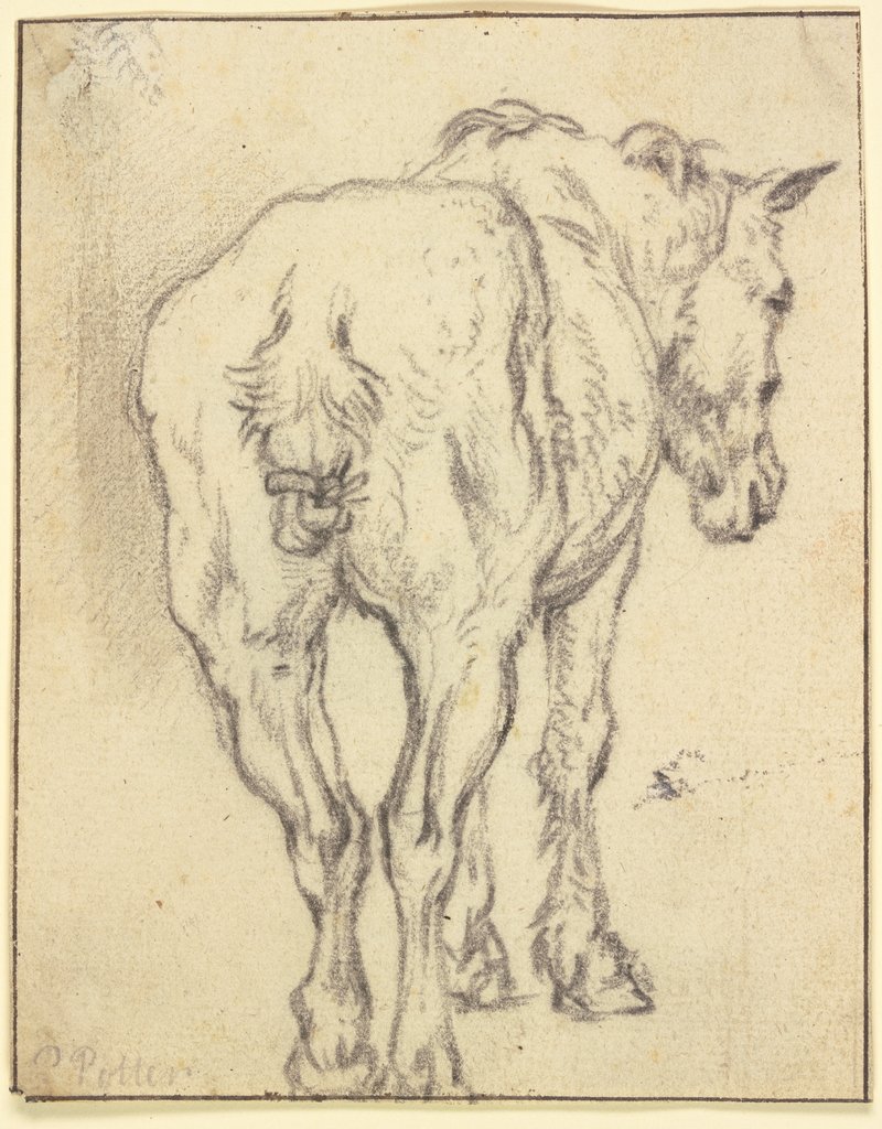 Pferd mit zusammengebundenem Schweif in Rückansicht, Paulus Potter