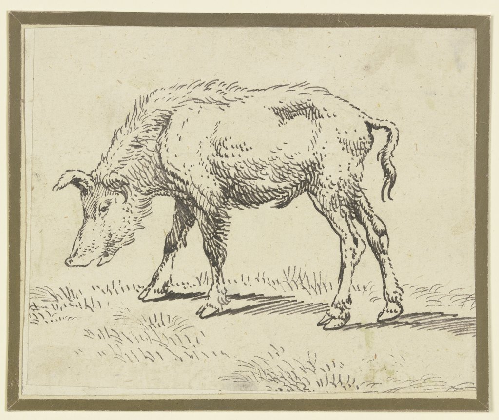 A pig to the left, Paulus Potter