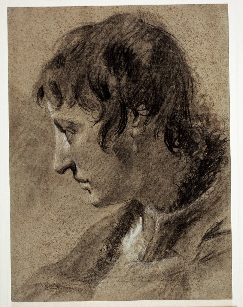 Kopf eines jungen Mannes, Giovanni Battista Piazzetta