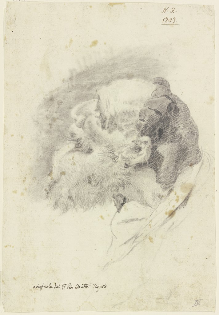 Studienkopf eines nach links oben blickenden Mannes, Giovanni Battista Tiepolo;   ?, Giovanni Battista Tiepolo;  Schule