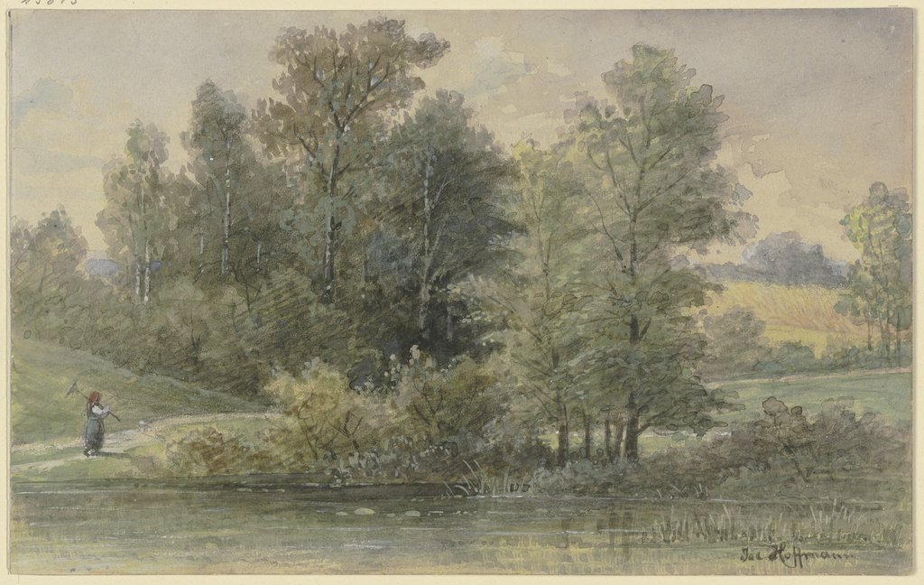 Edge of the forest with stream, Jacob Hoffmann