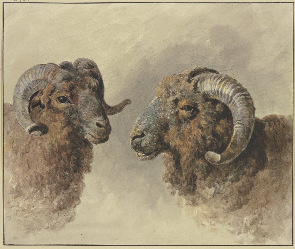 Zwei Schafe, Jacob van Strij