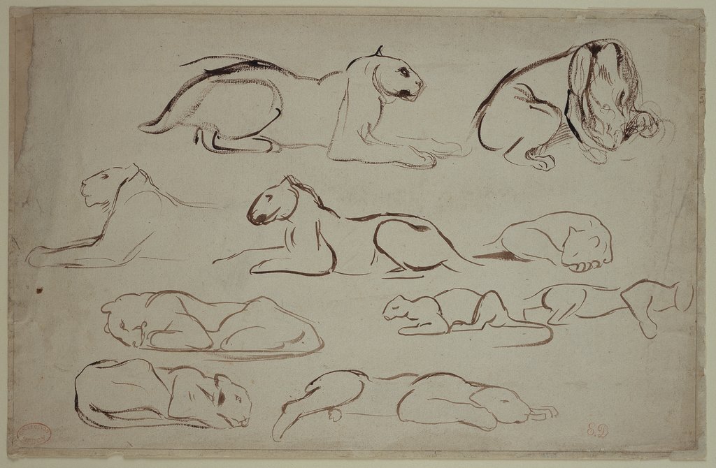 Studienblatt mit Löwen und Tigern, Eugène Delacroix