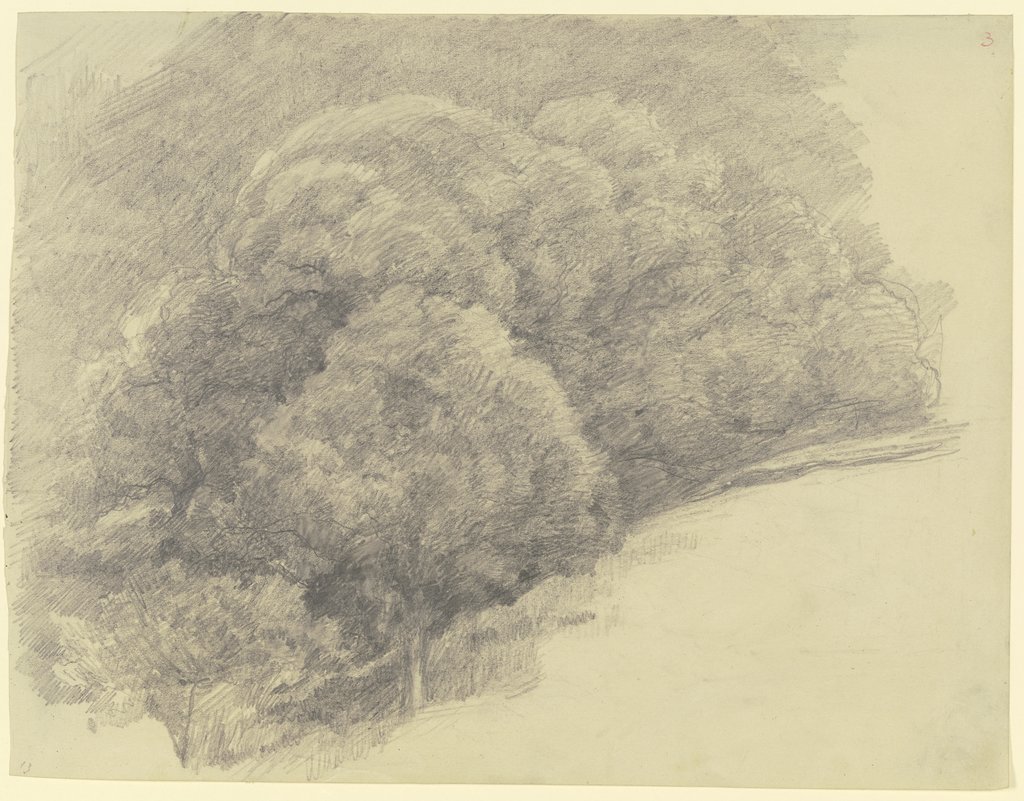 Böschung mit großen Laubbäumen, Louis Eysen