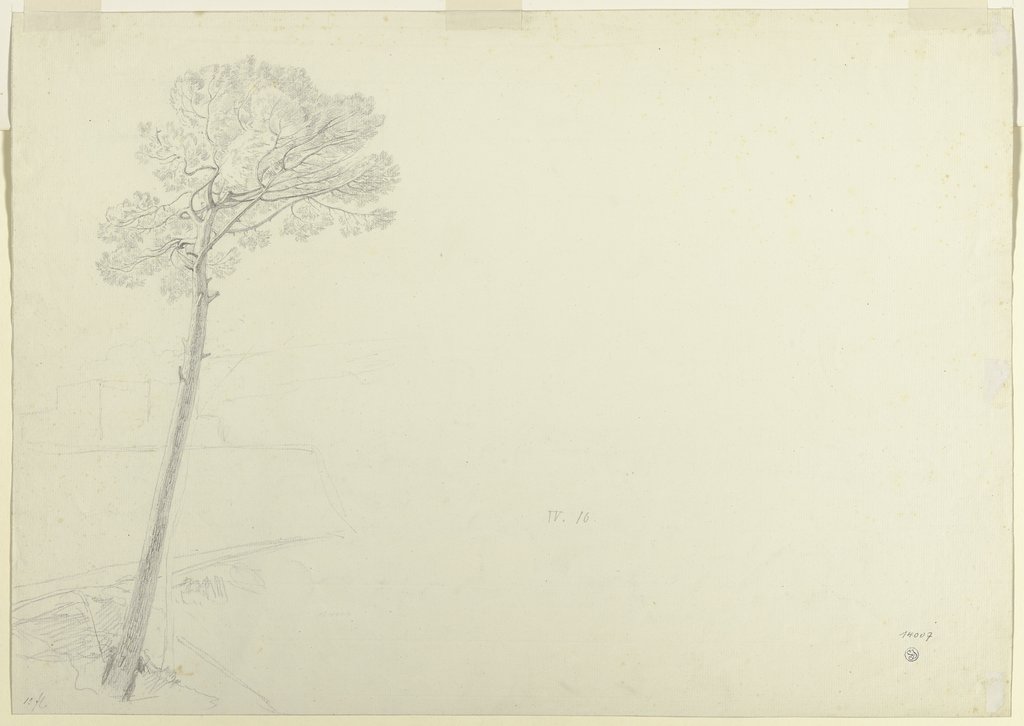 Baum in einer Landschaft, Theodor Pelissier
