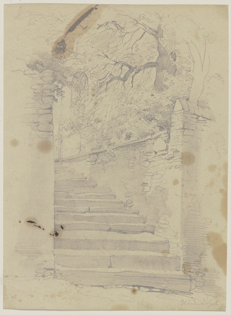 Alte Treppe, umgeben von Bäumen, Jakob Becker