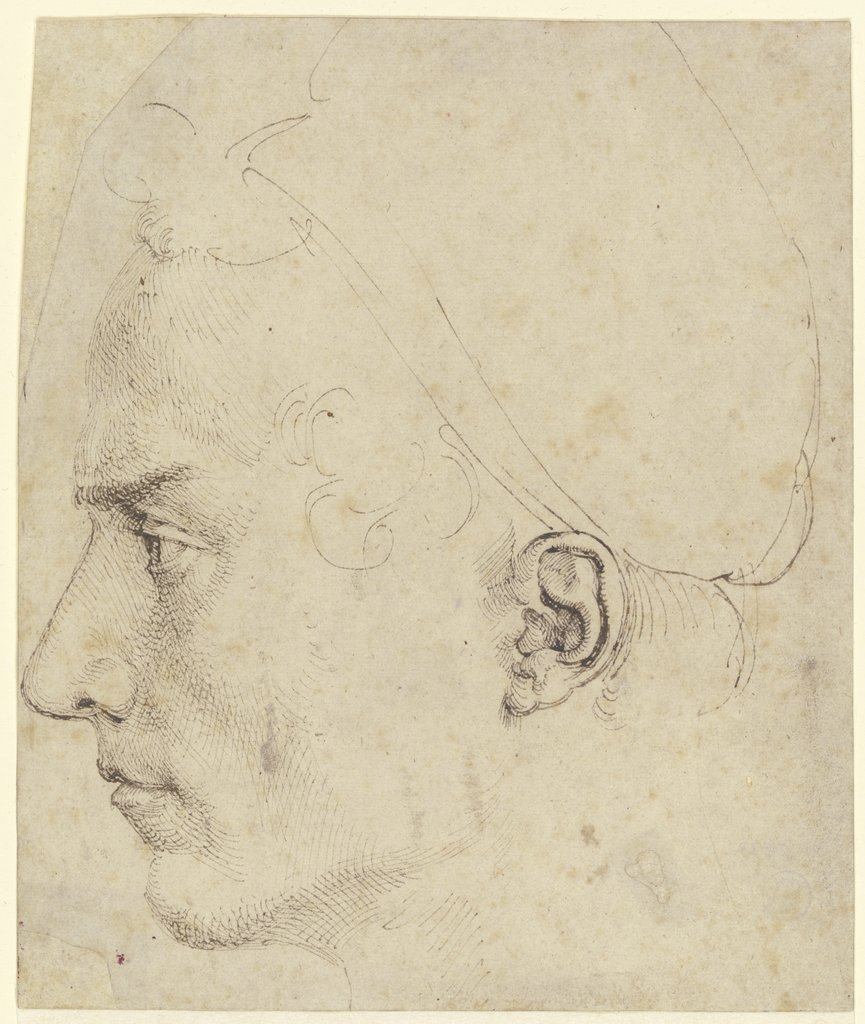 Männlicher Profilkopf, Albrecht Dürer