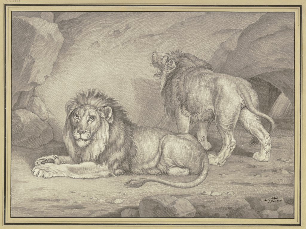 Liegender Löwe von der Seite nach links und stehender Löwe fast von hinten gesehen, Wenzel Peter