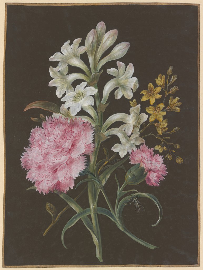 Gesteck aus Tuberose (Polyanthes), rosa Nelke (Dianthus) und gelber Blume mit Fliege, Barbara Regina Dietzsch;  Umkreis; zugeschrieben