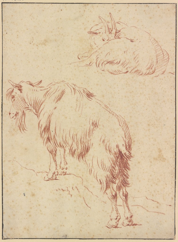 Eine stehende und eine liegende Ziege, Johann Melchior Roos