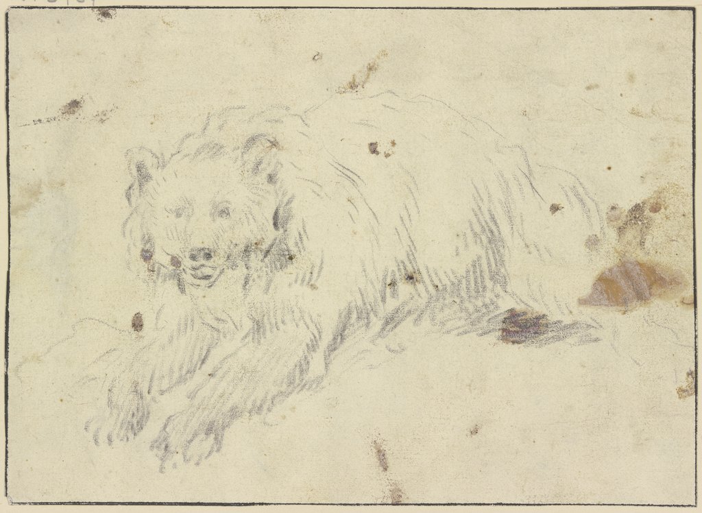 Liegender Bär nach links, Johann Melchior Roos