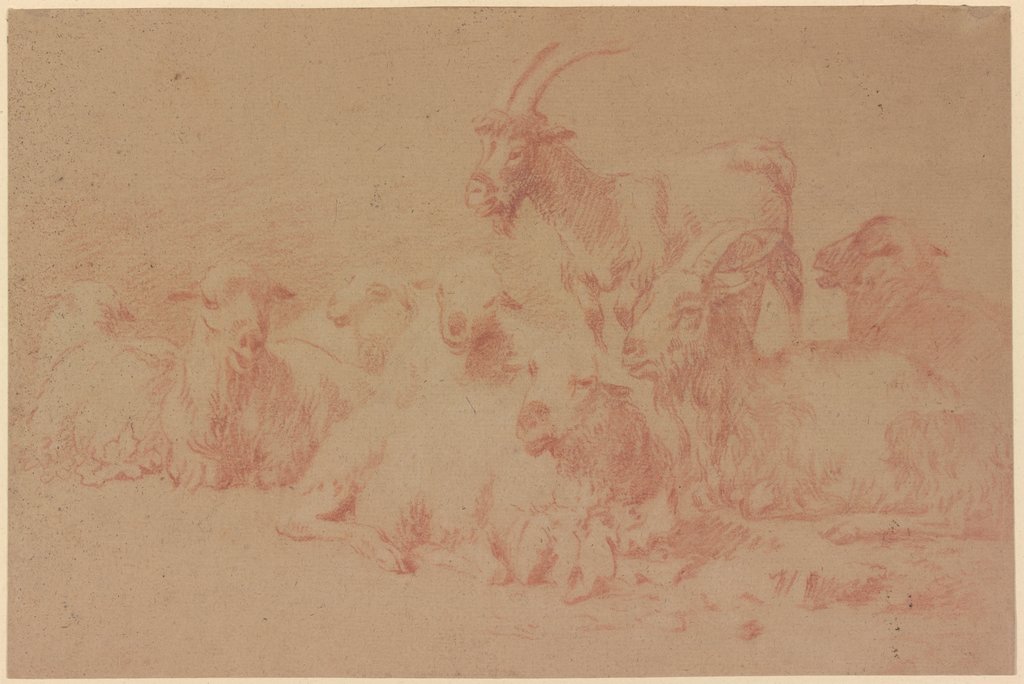 Zwei Ziegen und sechs Schafe, Johann Heinrich Roos
