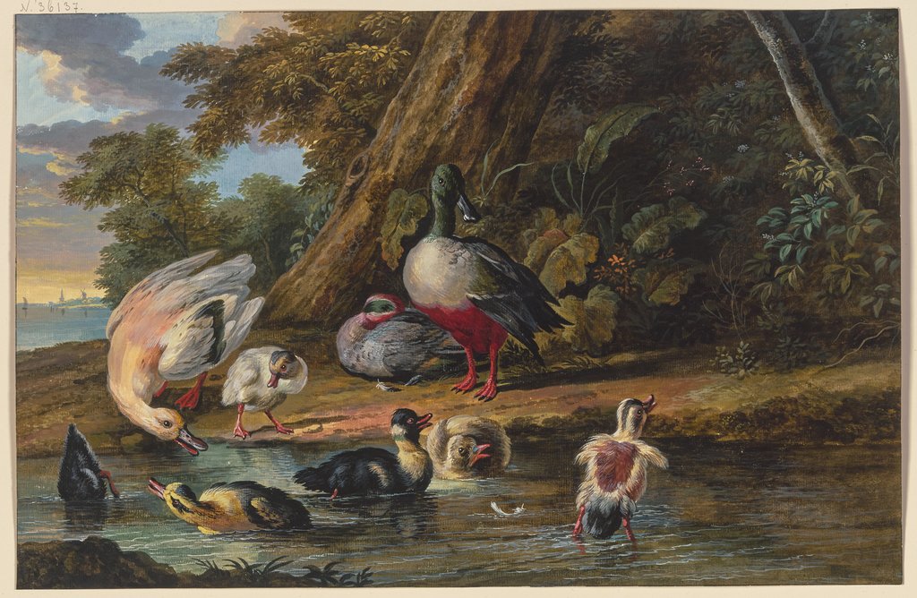 Drei Enten mit Jungtieren am Wasser, Dirck Dalens III, nach Melchior de Hondecoeter