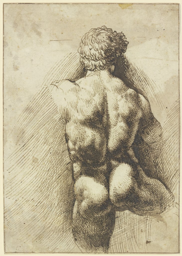Männlicher Rückenakt, Torso, Domenico Campagnola