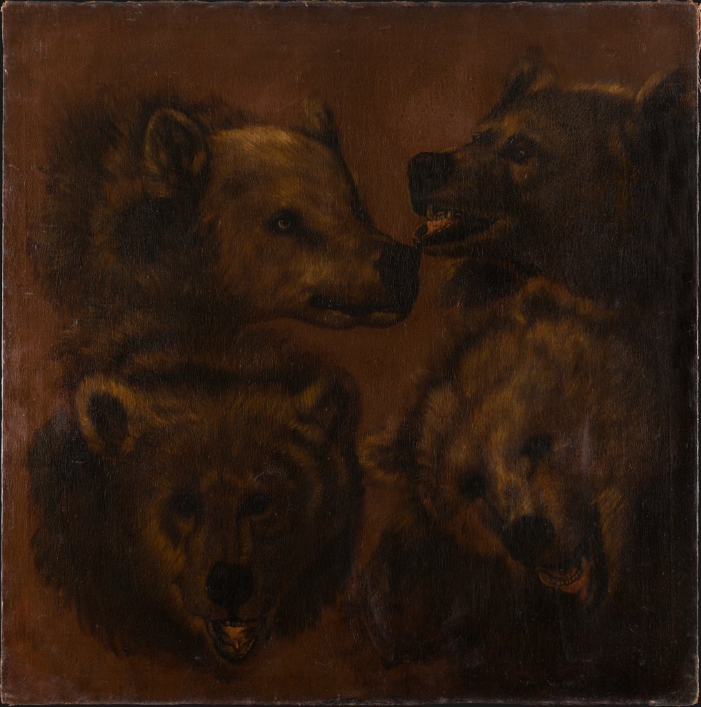 Vier Bärenköpfe in Lebensgröße, Johann Melchior Roos