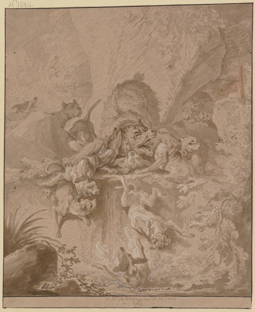 Ein Bär in einer Schlucht von einem Rudel Hunde gestellt, Johann Elias Ridinger