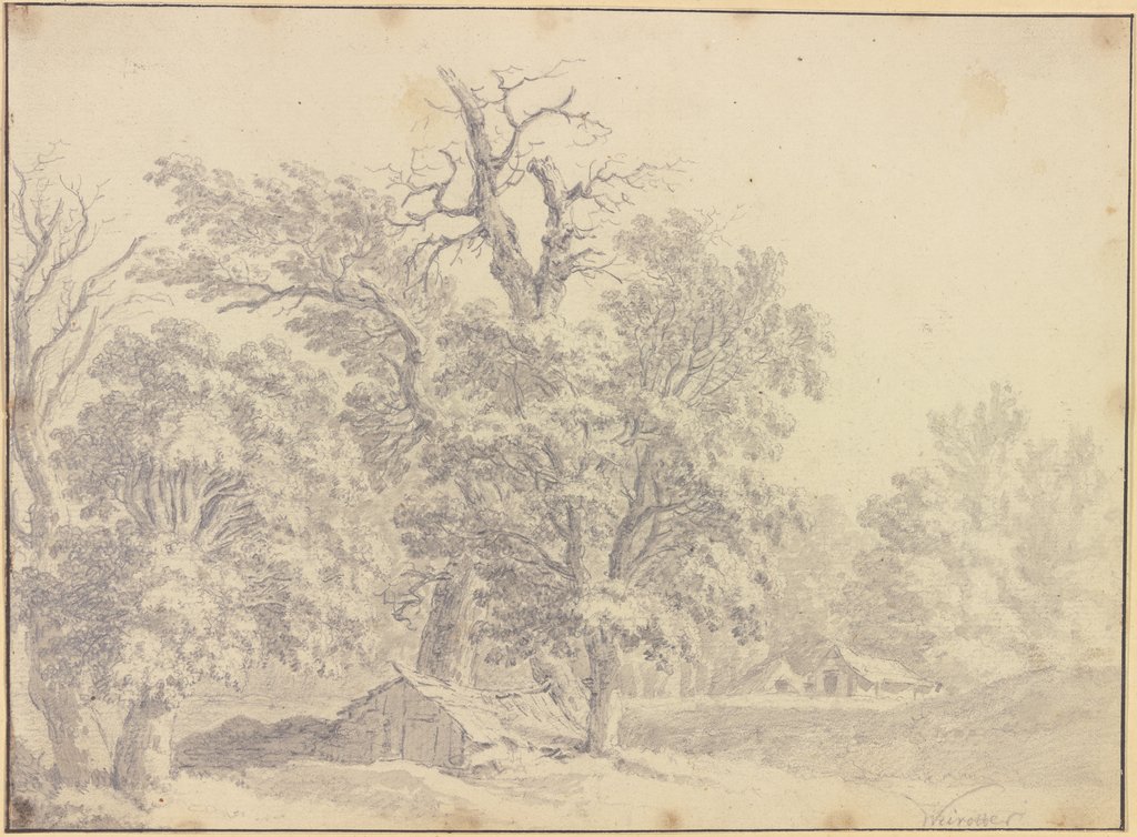 Schuppen unter hohen Bäumen, Franz Edmund Weirotter