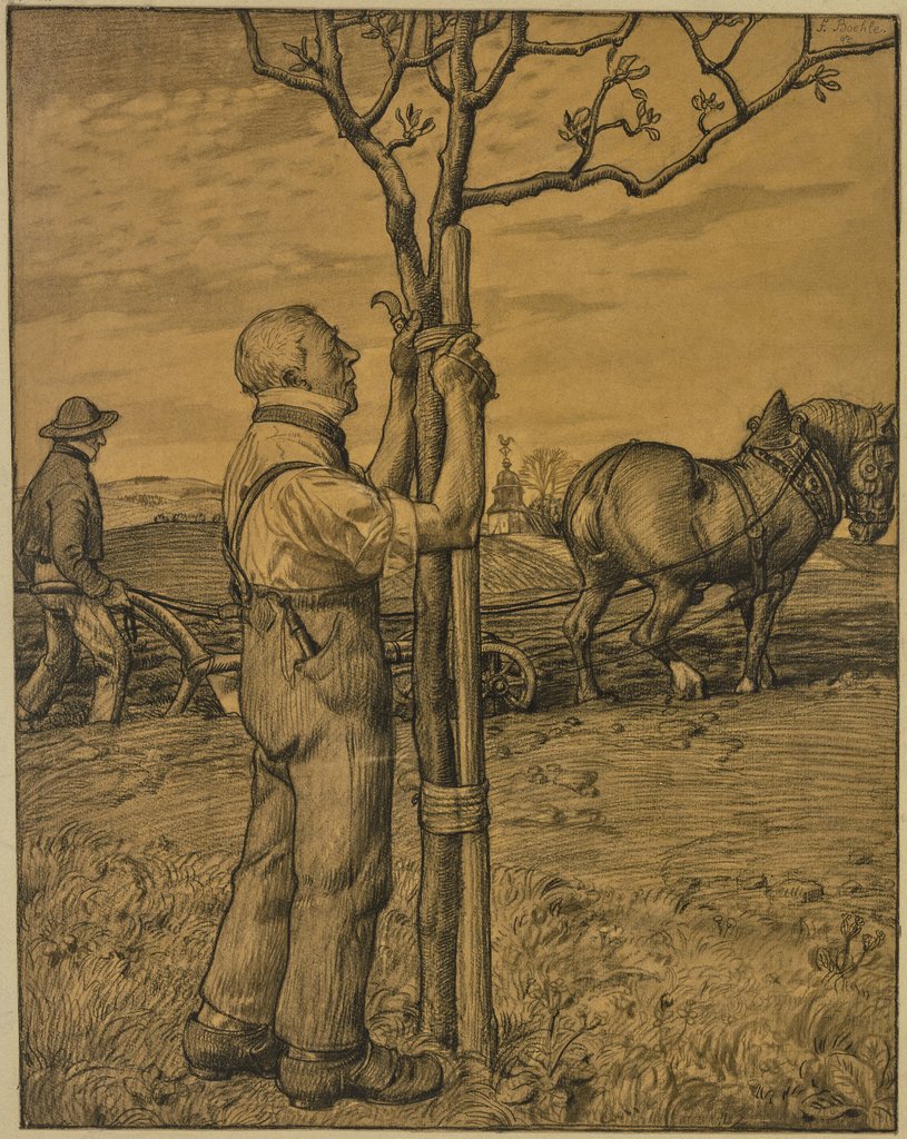Gärtner, einen Baum anbindend, Fritz Boehle