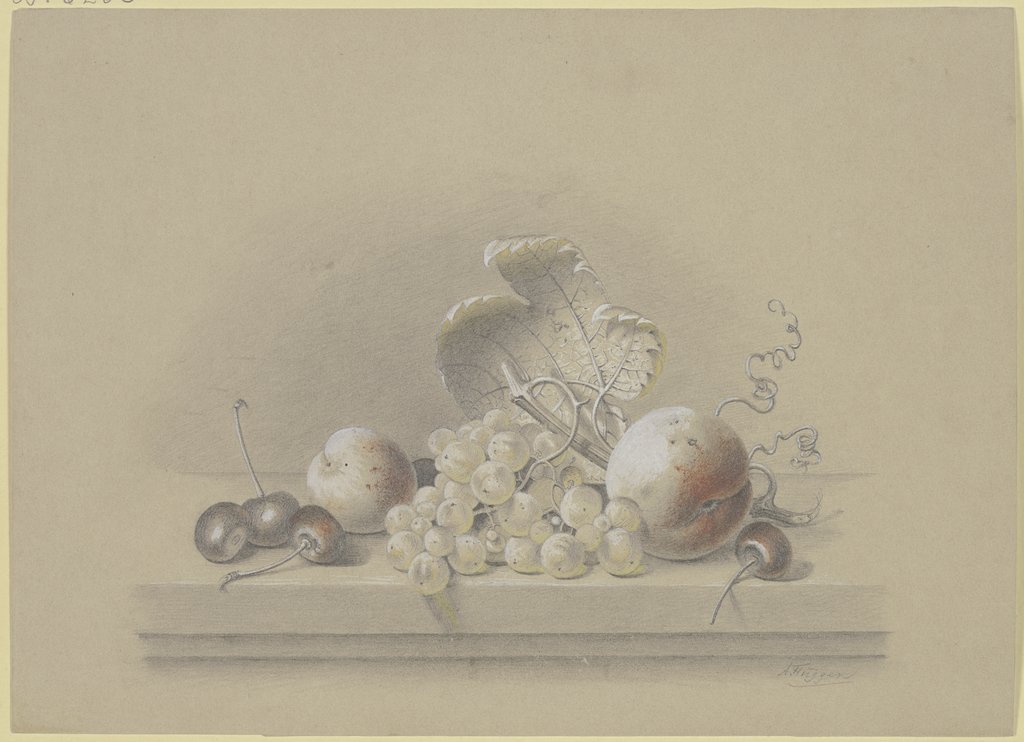 Kirschen, Pfirsiche und Trauben, A. Flüggen