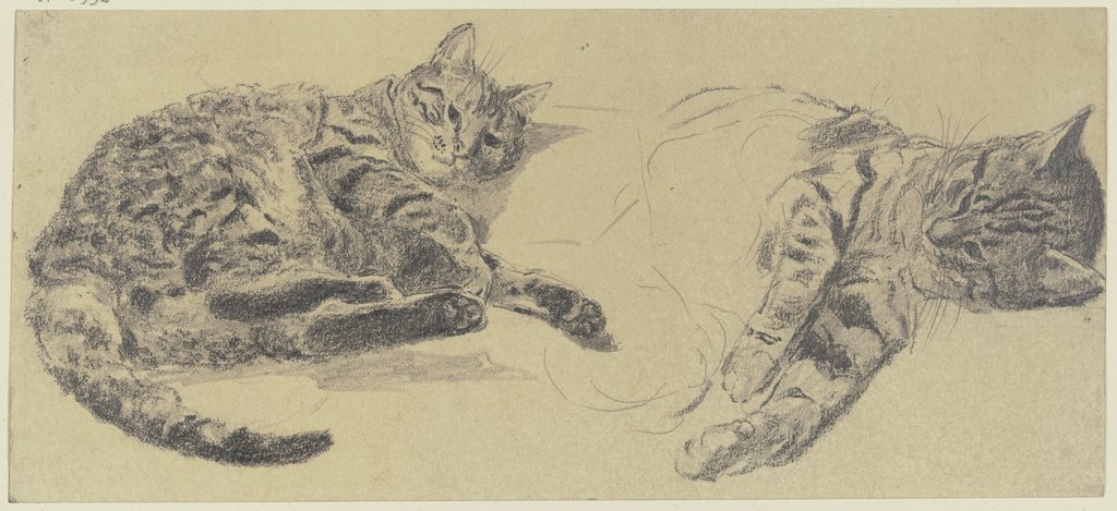 Katzenstudien, Wilhelm Gentz