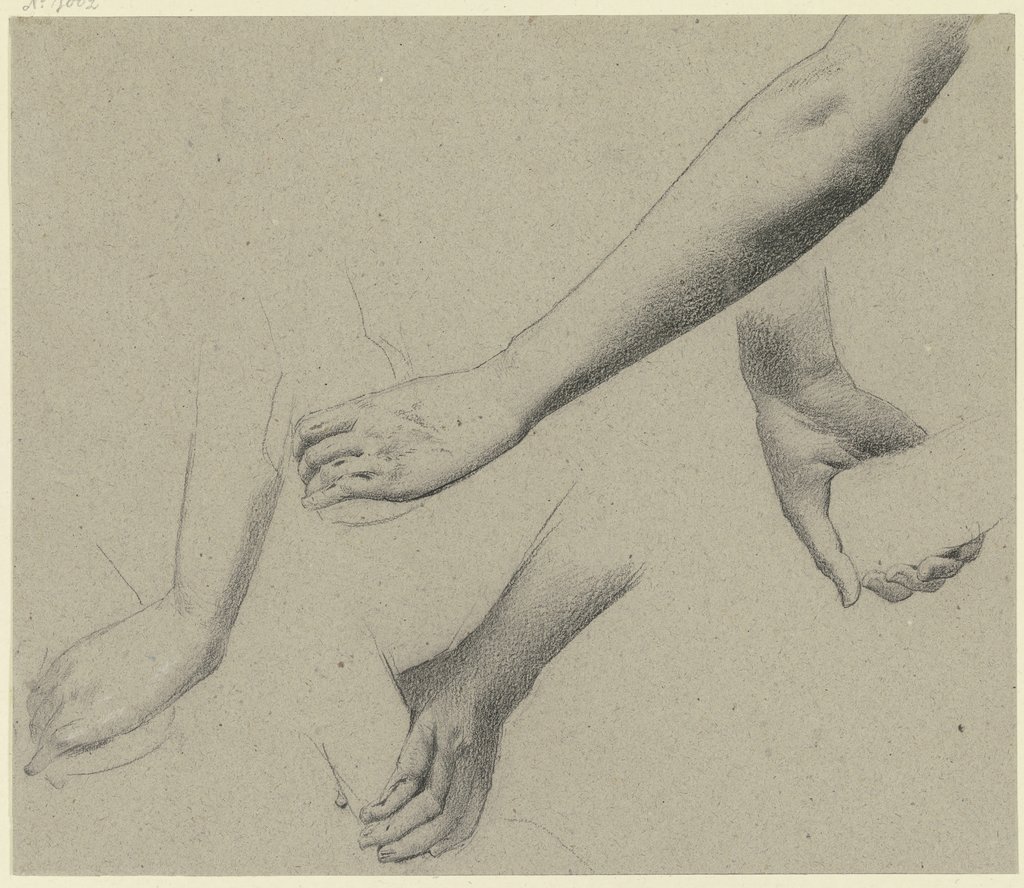 Arm- und Handstudien, Wilhelm Gentz