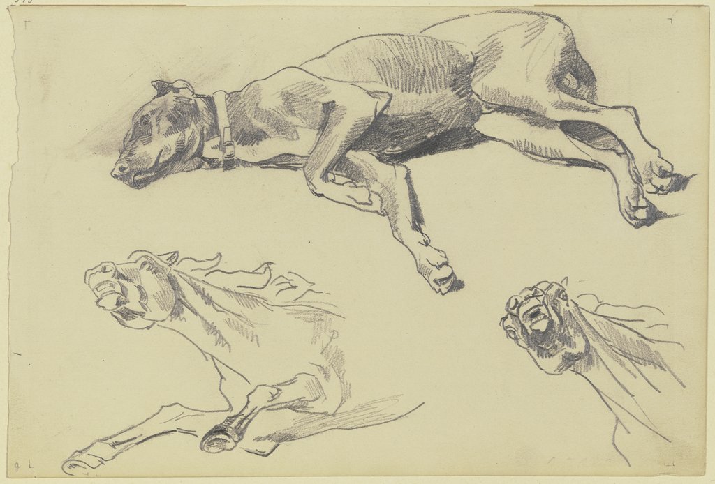 Studienblatt: Die Dogge Cäsar, auf der Seite liegend nach links, schlafend; darunter zwei Pferdestudien in starker Untersicht, Wilhelm Trübner