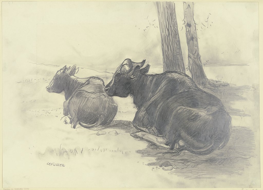 Liegende Rinder, Carl Ernst Fischer