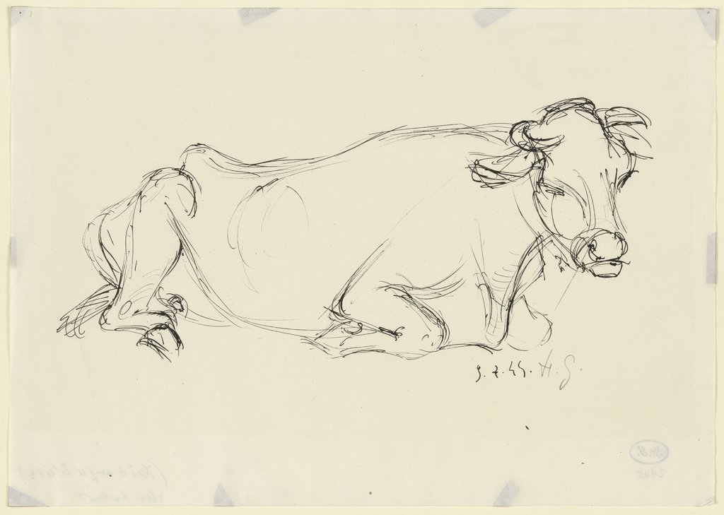 Liegende Kuh, Gerhard Hintschich