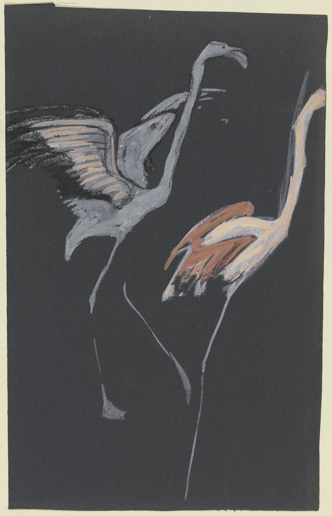 Studies of herons, Ludwig Heinrich Jungnickel