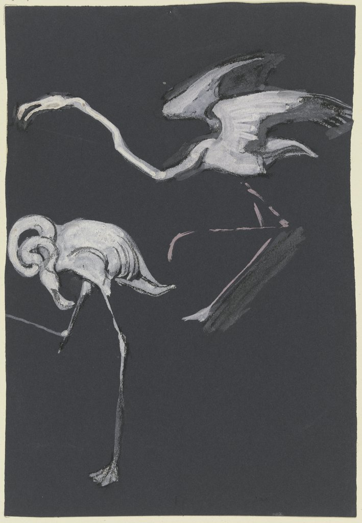 Studies of herons, Ludwig Heinrich Jungnickel