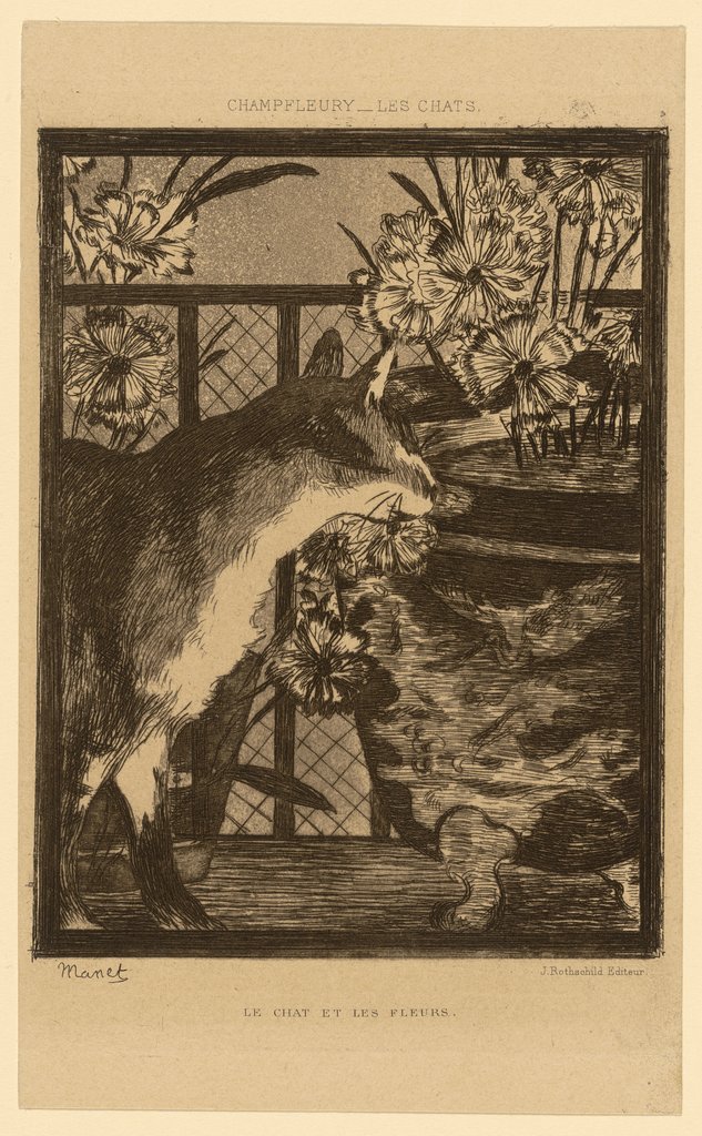 Le chat et les fleurs, Édouard Manet