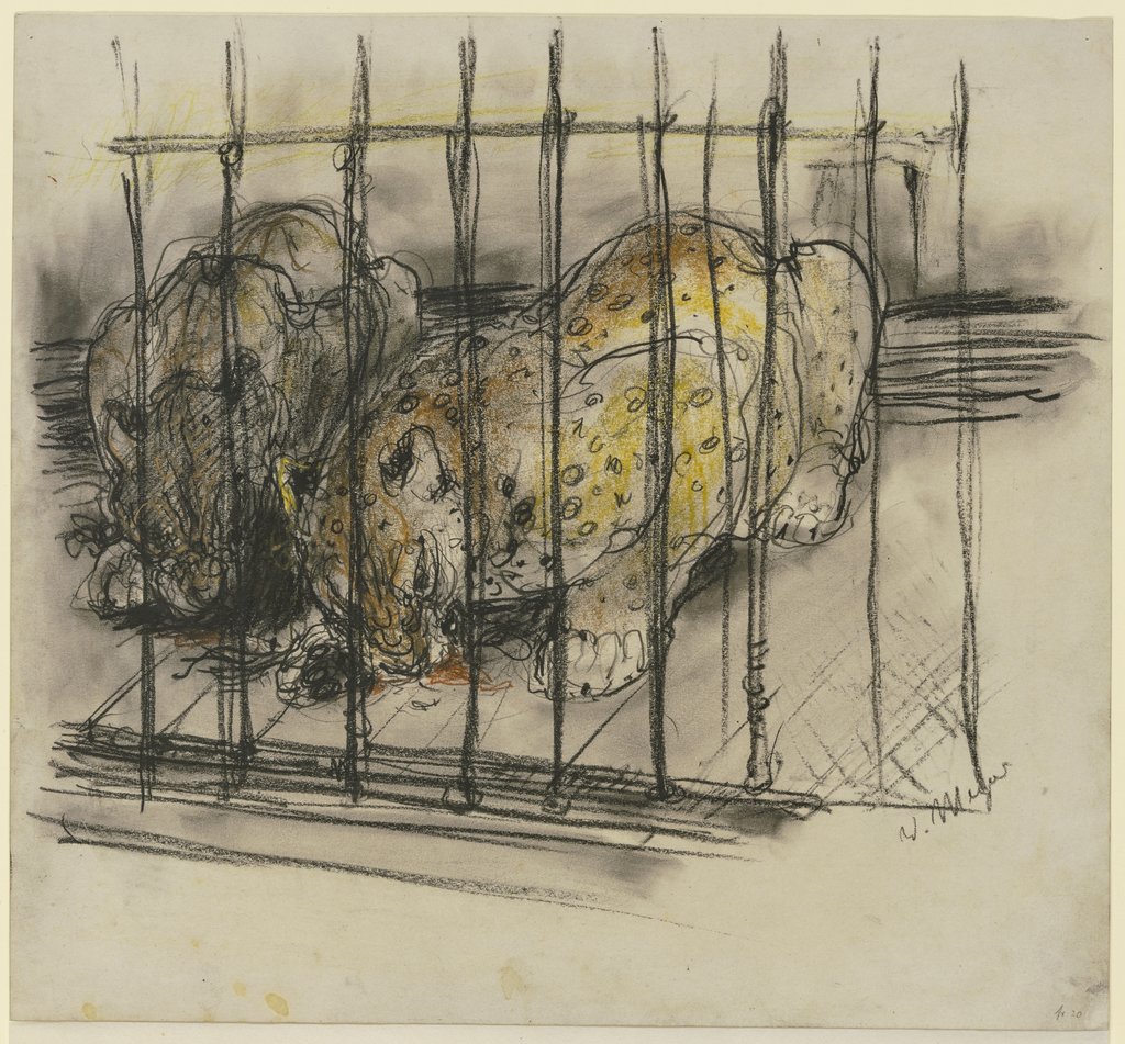 Tiger in a cage, Willy Meyer