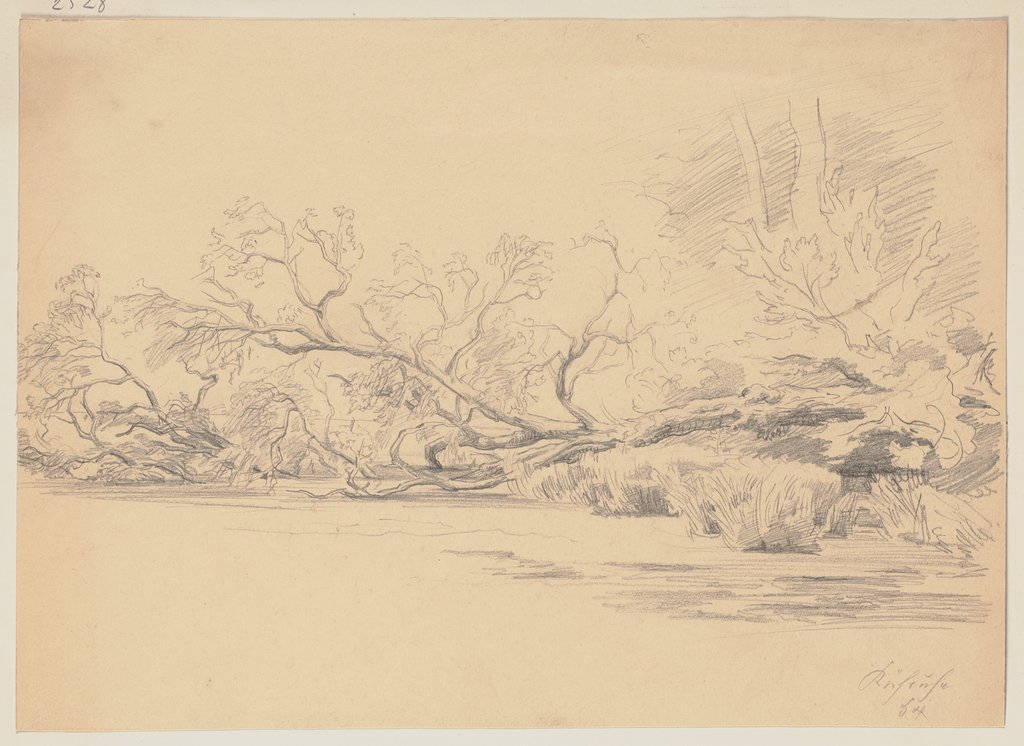 Landscape (Kühruhe), Friedrich Metz