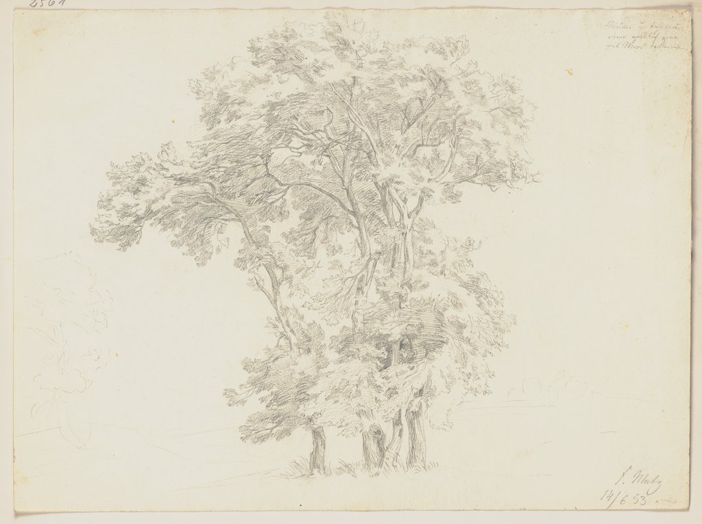 Group of trees, Friedrich Metz