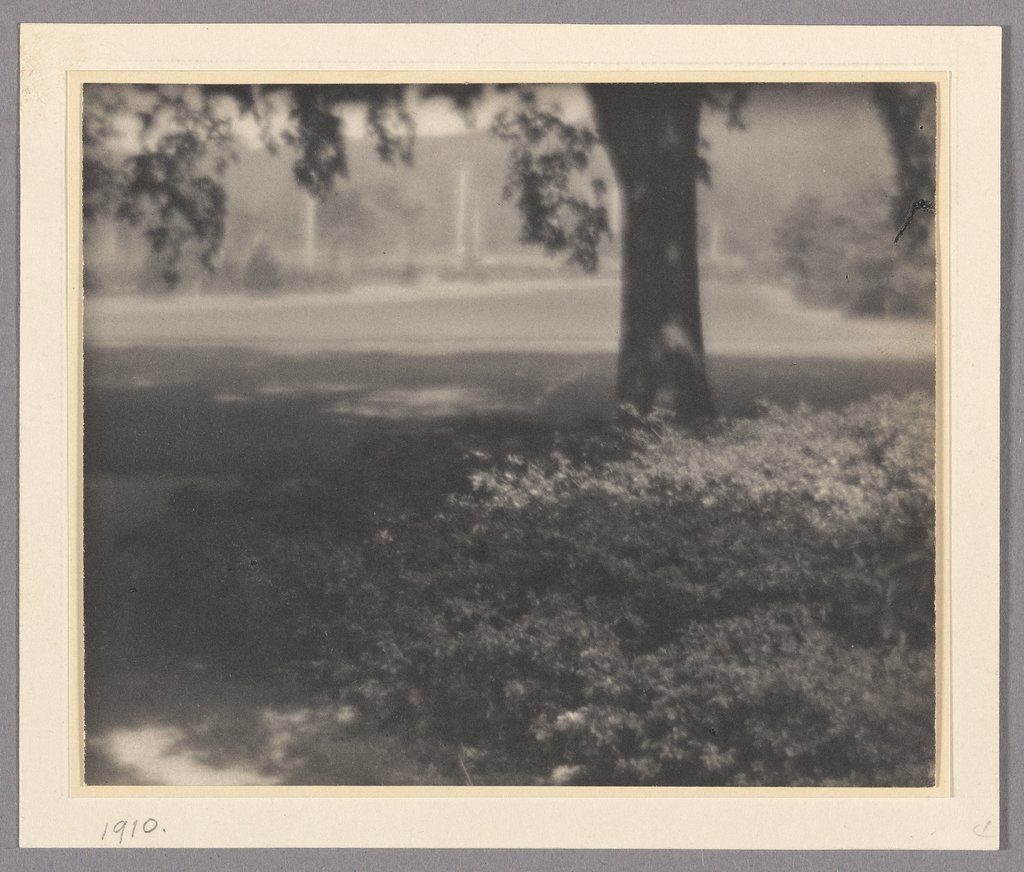 Gebüsch und Baum in einem Park, Karl F. Struss