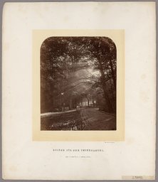 Sunny View (near Großer Stern)