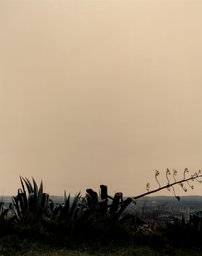 Montemor-o-Novo