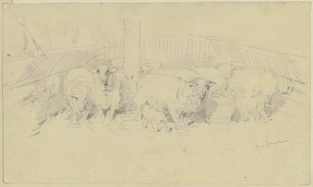Ein Schafstall, Jacob Happ