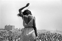 Venice Beach, Rock Festival