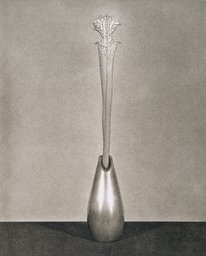 Untitled, from the series: Flowers