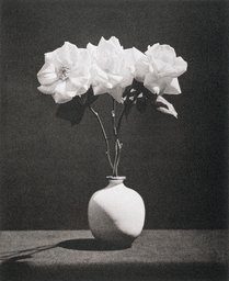 Untitled, from the series: Flowers