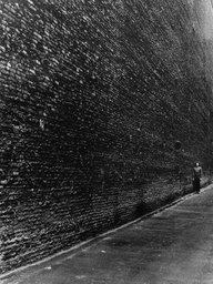 The Wall